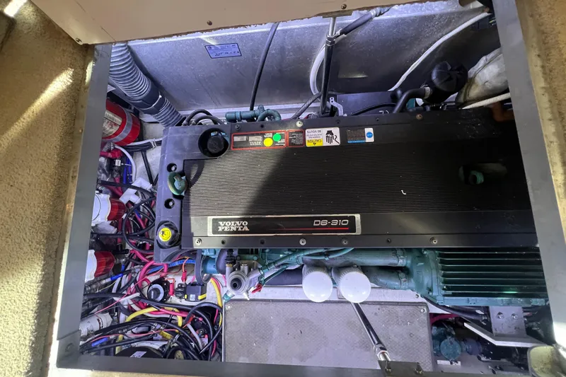 Rum-n-reels Yacht Photos Pics 