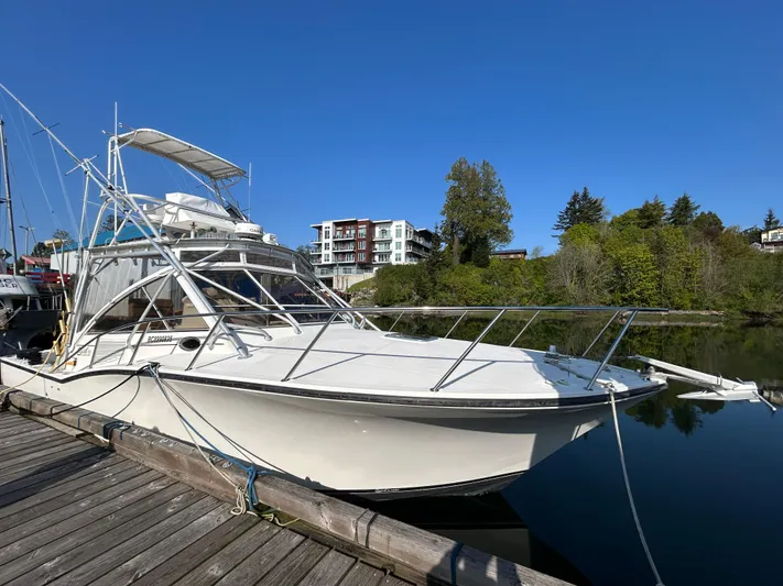  Yacht Photos Pics 1999 Carolina Classic 35 boat docked by a scenic waterfront with clear blue sky.