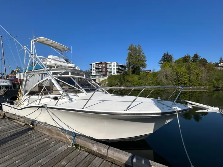  Yacht Photos Pics 1999 Carolina Classic 35 boat docked at marina, clear blue sky, surrounded by trees and buildings.