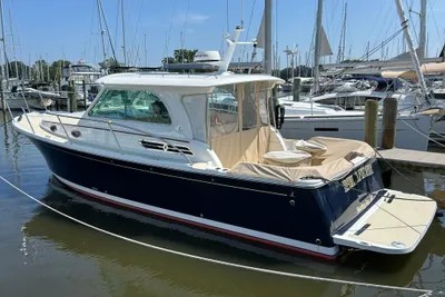Back Cove 32