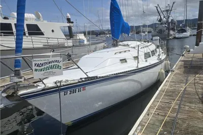 Newport 33