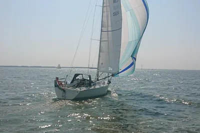 1991 FF 110