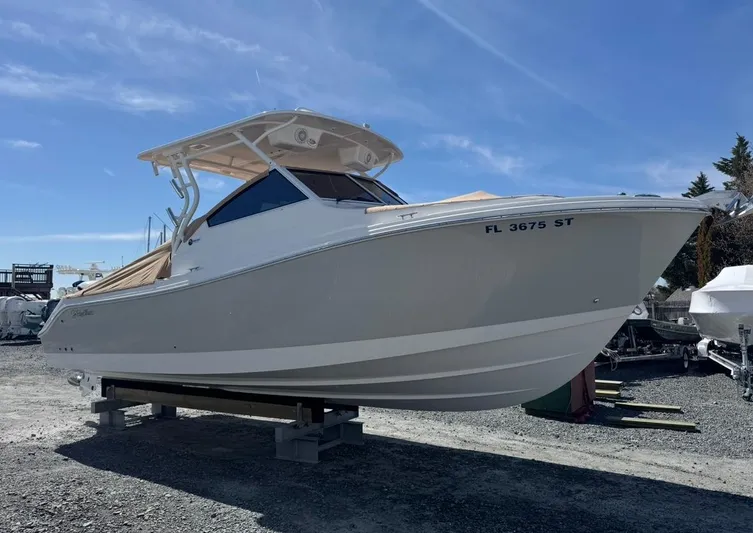 Finatic Yacht Photos Pics 