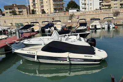 2010 Stingray 205LX