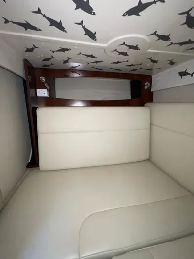  Yacht Photos Pics Interior of 2018 Chaparral 310 Signature with shark-themed ceiling design.