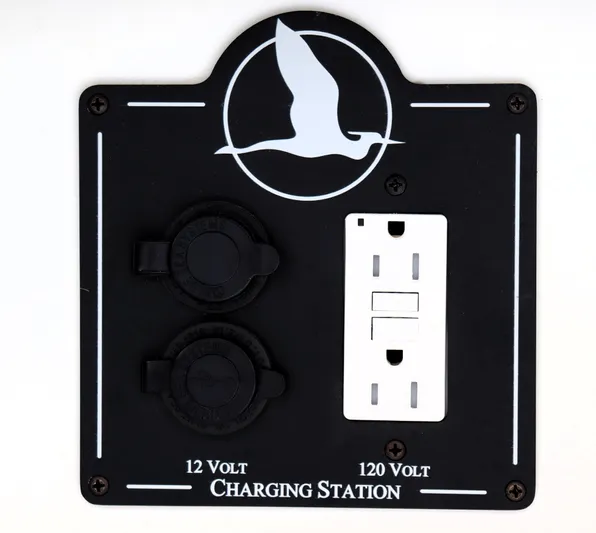 Polo Lounge Yacht Photos Pics Charging station with 12V and 120V outlets on a 2020 Back Cove 34O boat.