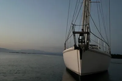2011 Amel amel 54