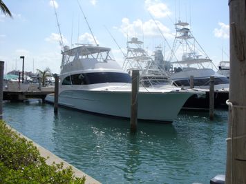 Buddy Davis Sport Fisherman