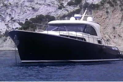 Mochi Craft 51 Dolphin