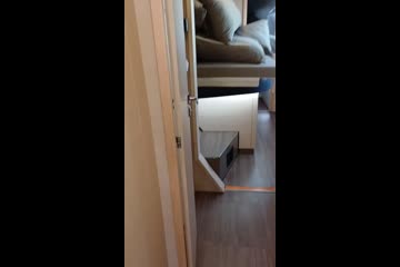 Video Placeholder