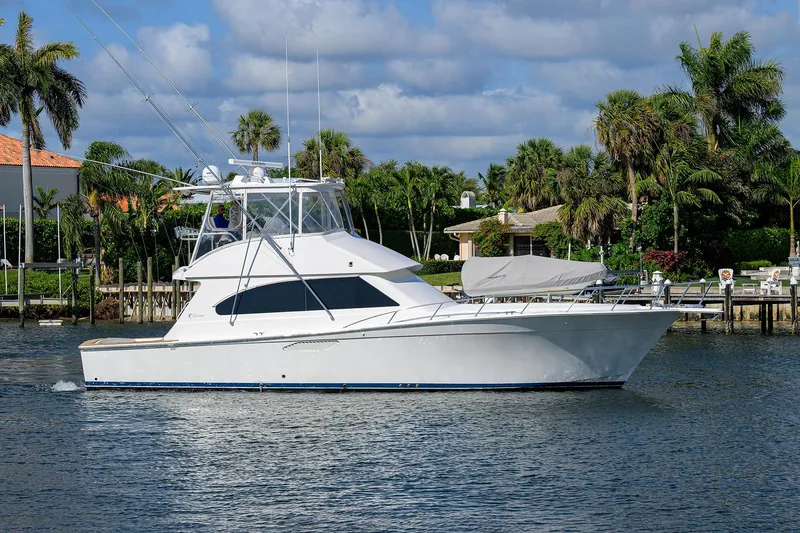 Nest Egg Yacht Photos Pics 