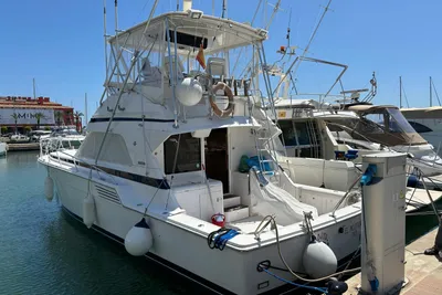 1995 Bertram 46