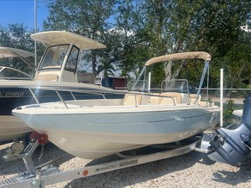 Scout 175 Sport Dorado