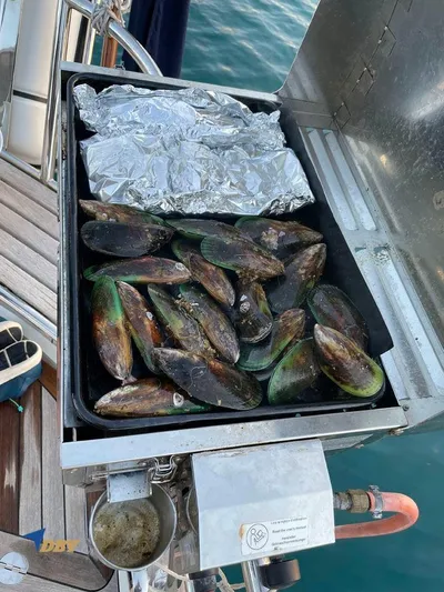 Sapphire II Yacht Photos Pics 