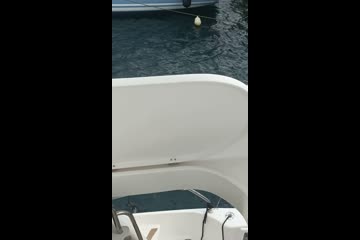 Video Placeholder