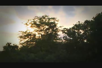 Video Placeholder