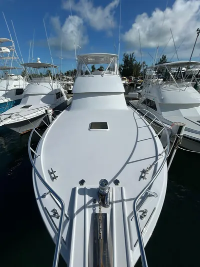 Ayayai Yacht Photos Pics 