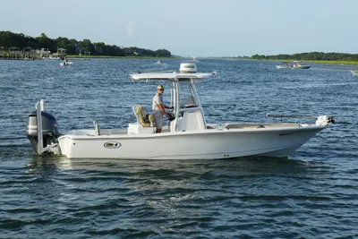 Sea Hunt BX 25 BR
