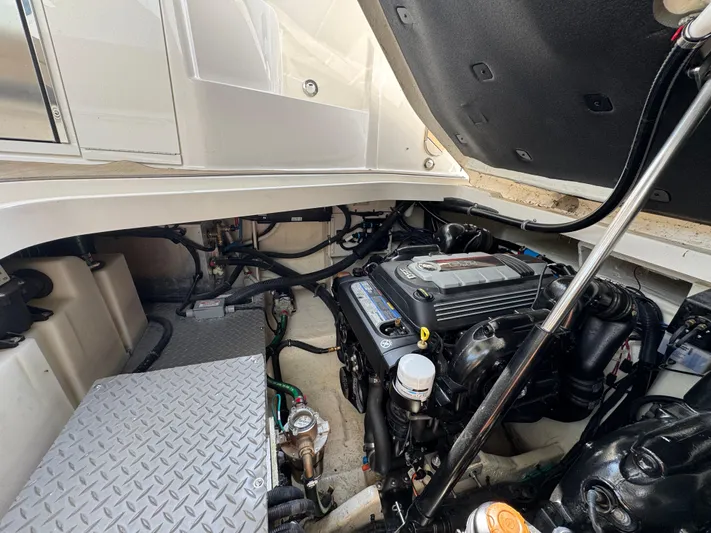 At Times Yacht Photos Pics 