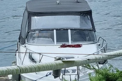 2019 Drago Öchsner SR 25