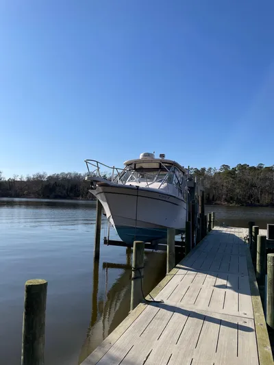 Freedom Yacht Photos Pics 