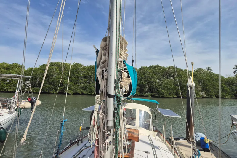 Pearl Yacht Photos Pics Cape George 36 sailboat from 1996 docked by lush green shoreline.