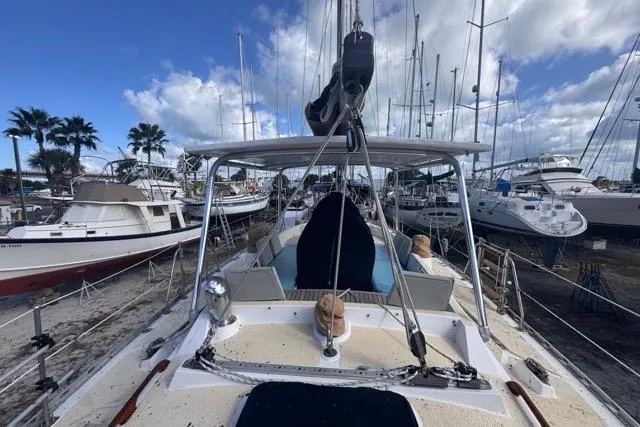 Pickle Yacht Photos Pics 1989 Hylas 44 sailboat docked in a marina, surrounded by other boats and palm trees.