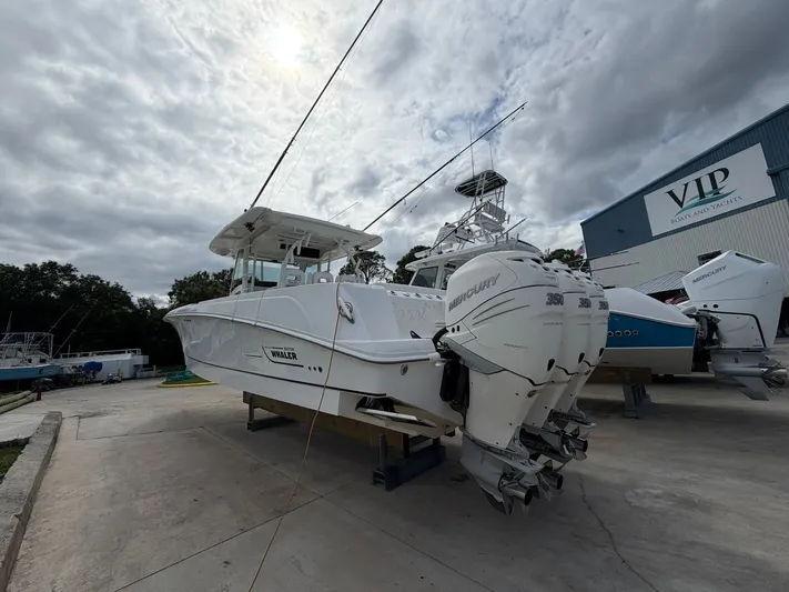 Fish Club Yacht Photos Pics 