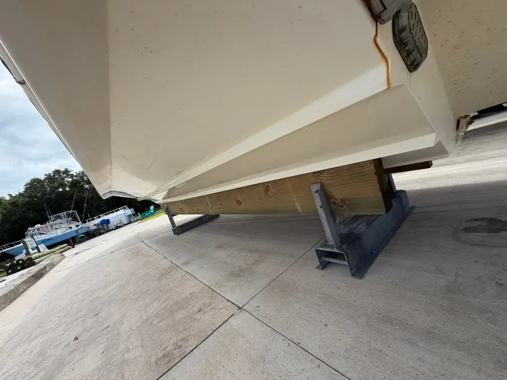 Fish Club Yacht Photos Pics 