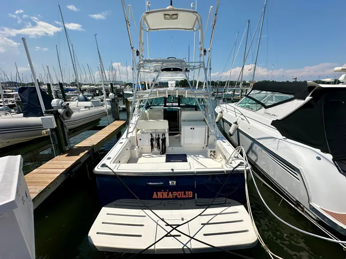  Yacht Photos Pics 2004 Tiara Yachts 3200 Open docked at marina, clear sky, surrounded by boats.