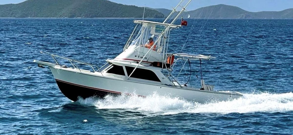 1964 Bertram 31 Sportfisher