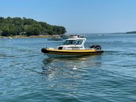 2014 Protector Targa 30