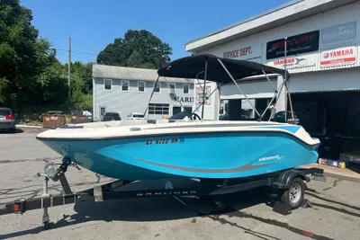 Bayliner Element M17