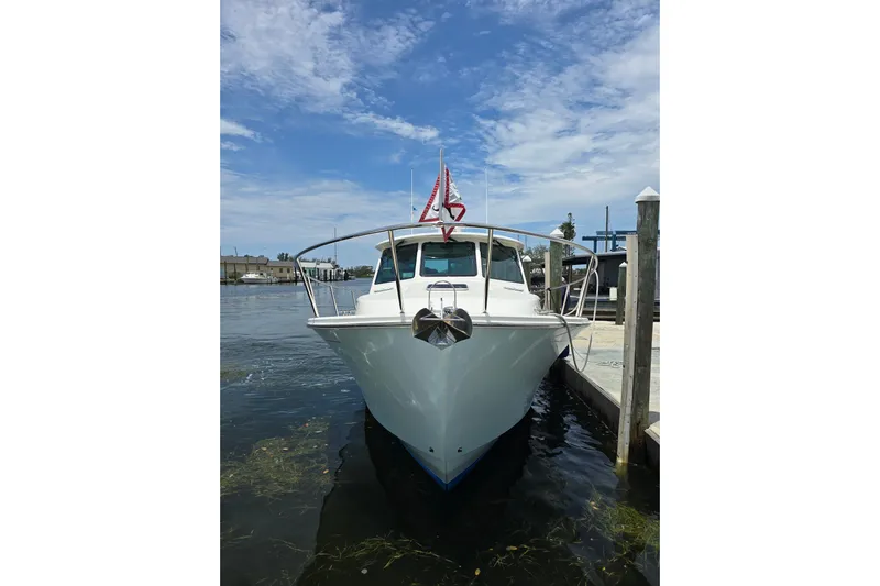 American Girl Yacht Photos Pics 2021 Back Cove 390 boat docked at marina under blue sky.