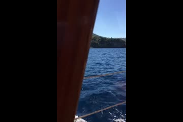 Video Placeholder