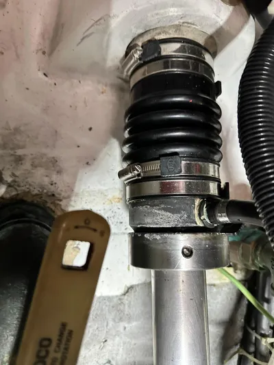 C'est Bon Yacht Photos Pics 