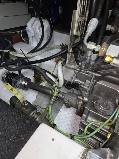 C'est Bon Yacht Photos Pics 