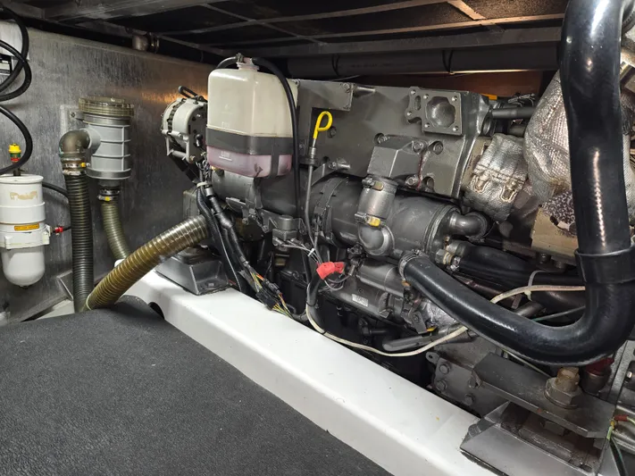 C'est Bon Yacht Photos Pics 