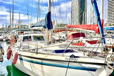 1988 Custom mascot33