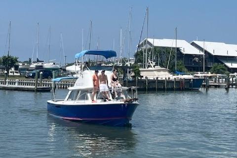 Bertram Flybridge Cruiser