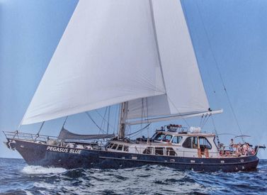 1983 88' 7'' Cavalier-Cavalier 92 hammamet, TN