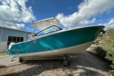 Blackfin 272 DC