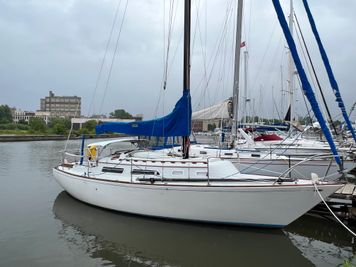 Islander 30