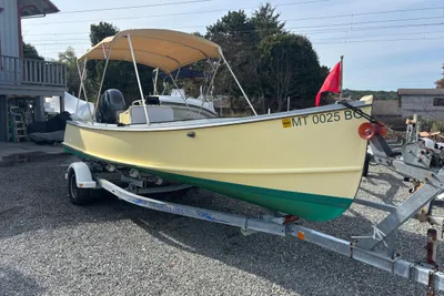 Custom 20