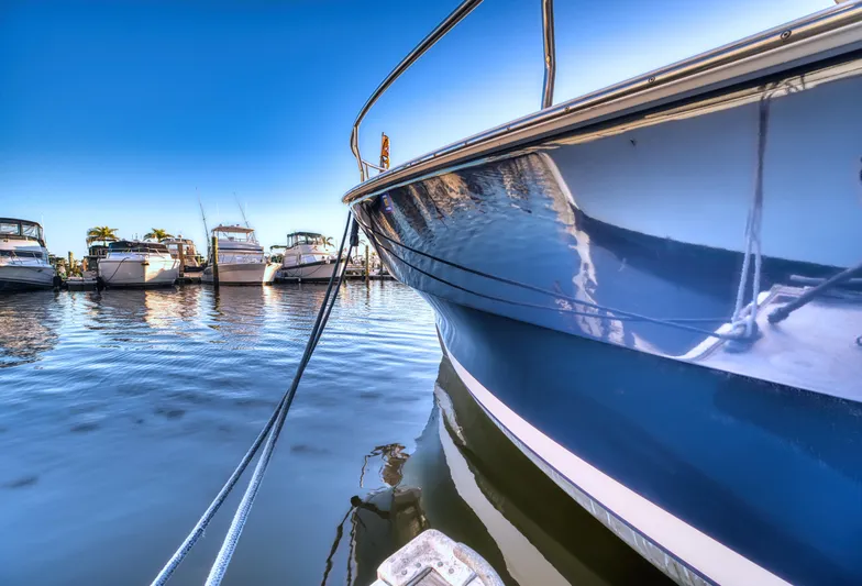 Blue Tortuga Yacht Photos Pics 