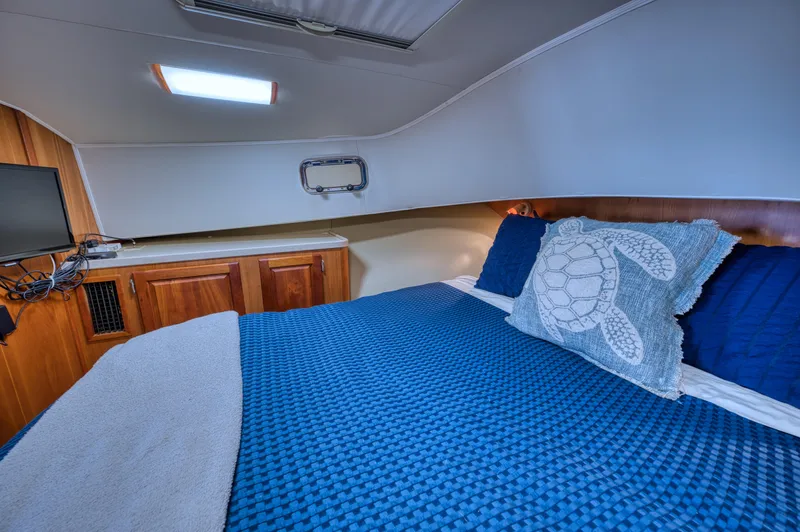 Blue Tortuga Yacht Photos Pics 