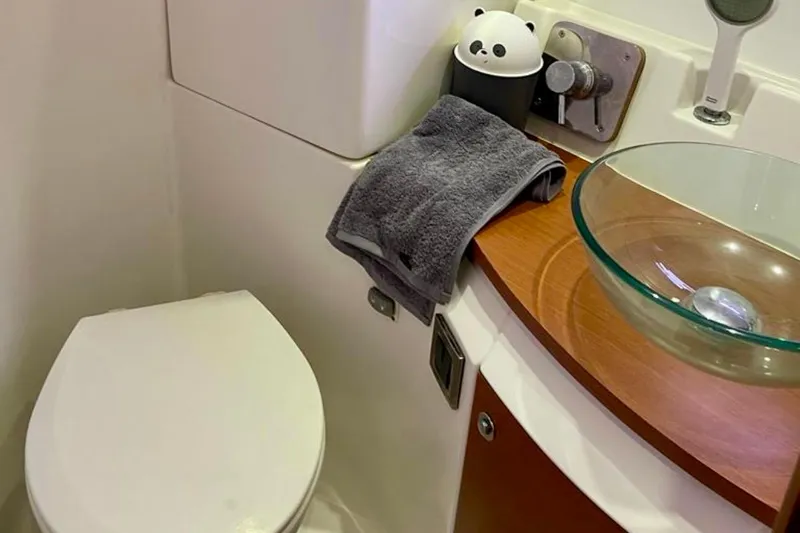  Yacht Photos Pics Bathroom interior of 2013 Beneteau Antares 42 yacht with glass sink and panda decor.