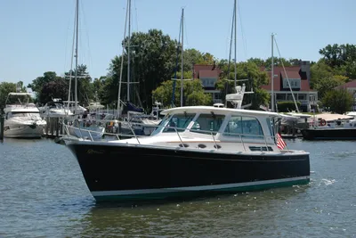 Back Cove 37