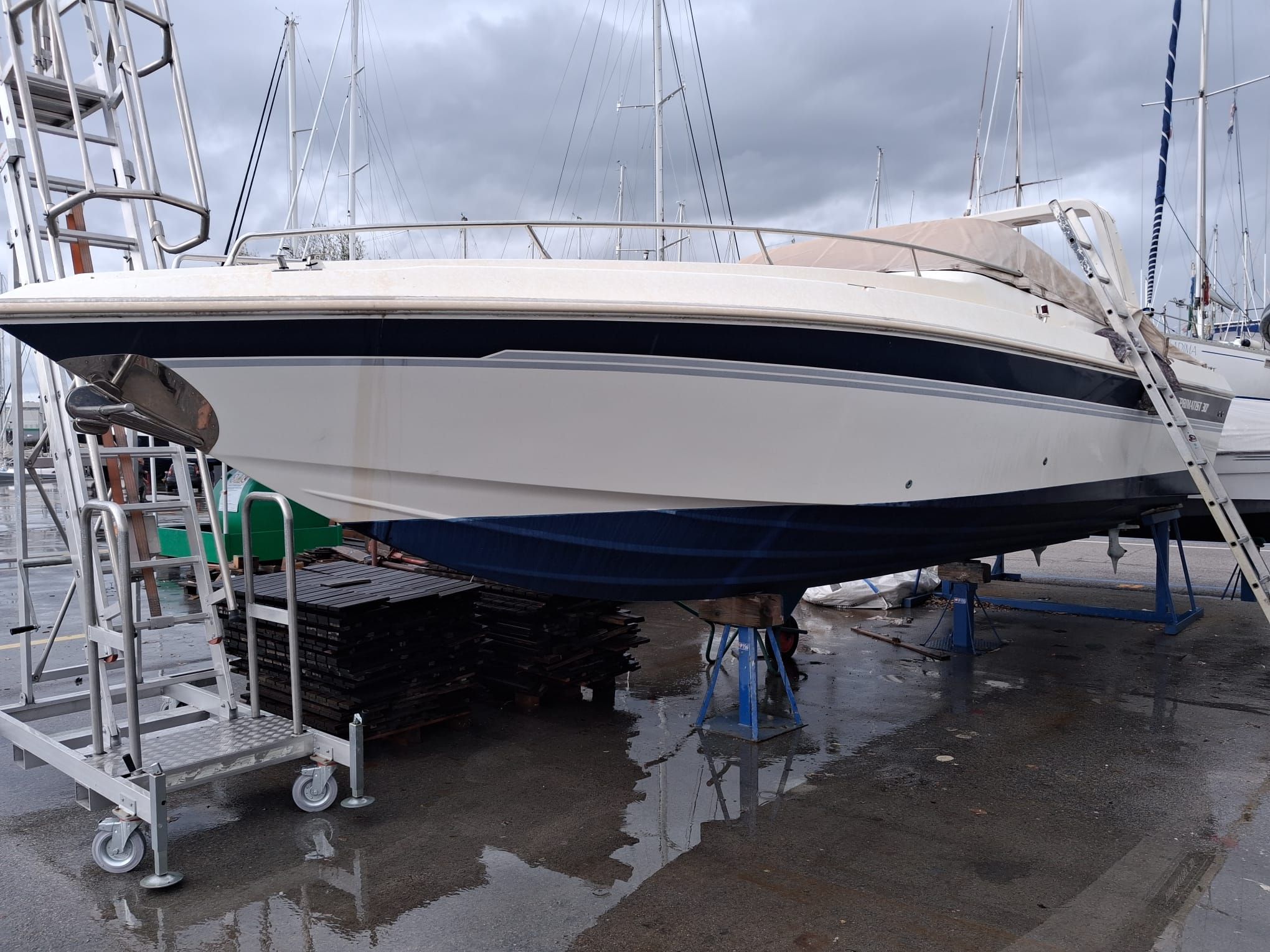 1991 Bruno Abbate PRIMATIST 30