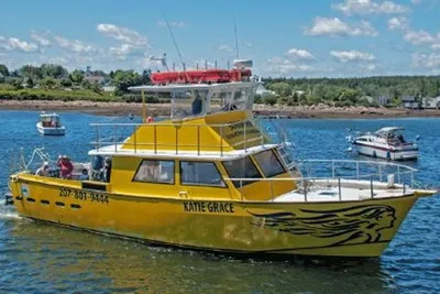 Marine Management Flybridge Commercial Passenger